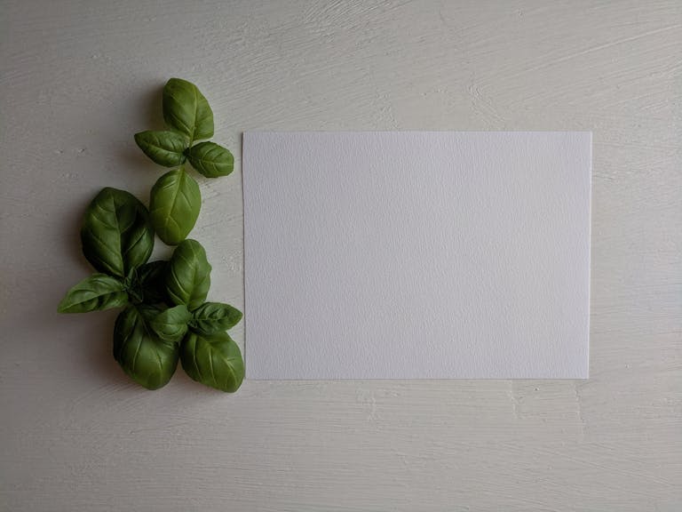 papel folha de sulfite a4